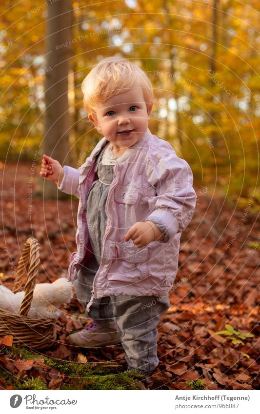 cheeky monkey Feminine Child Toddler Girl Sister Family & Relations 1 Human being 1 - 3 years Nature Landscape Earth Sunlight Autumn Beautiful weather Tree Leaf