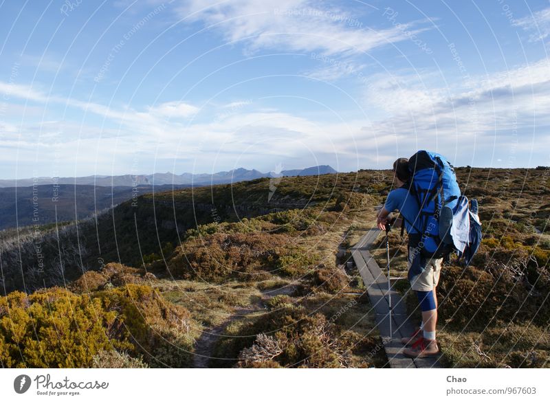 overland track Vacation & Travel Trip Adventure Summer Mountain Hiking Climbing Mountaineering Human being Masculine 1 18 - 30 years Youth (Young adults) Adults