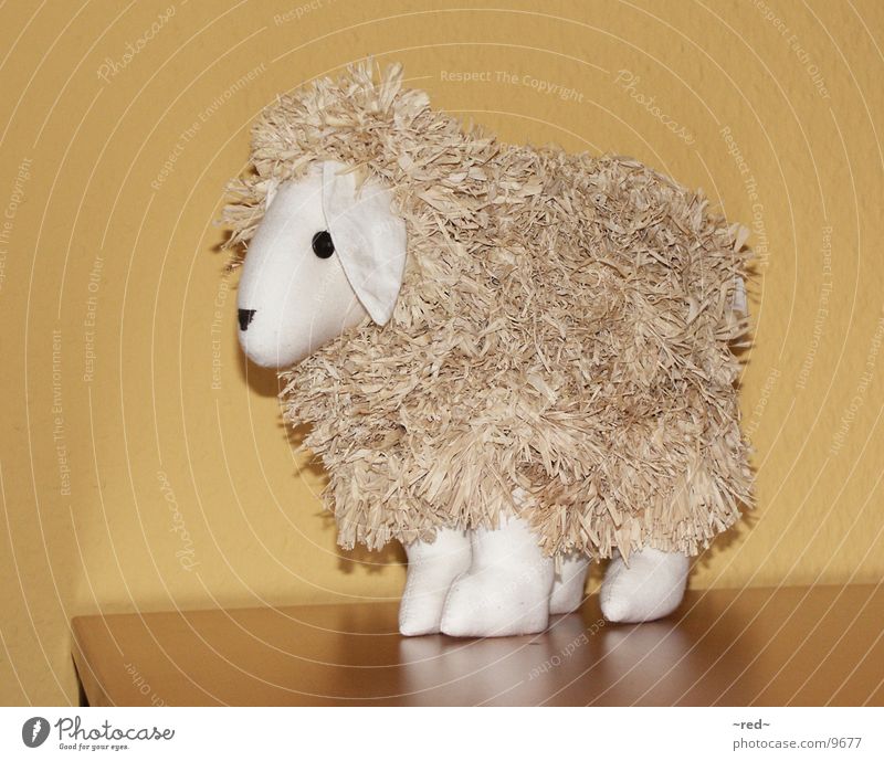 sheep Sheep Animal Decoration Junk Odds and ends Lawnmower Pet Living or residing Yoo-hoo no cow