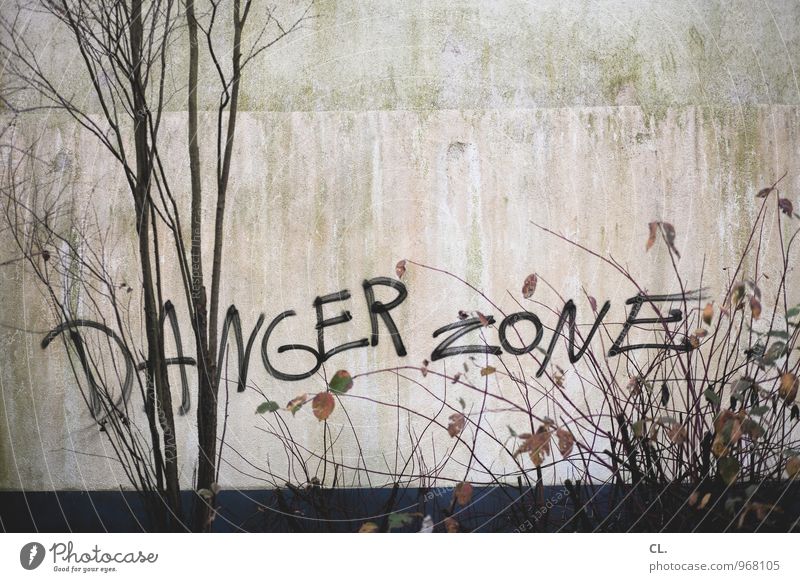 DANGER ZONE Nature Autumn Tree Bushes Leaf Branch Wall (barrier) Wall (building) Characters Graffiti Dirty Gloomy Dangerous Destruction Risk Colour photo