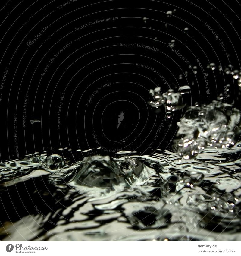 LIQUID|DREAMS Fluid Black Dark Inject Waves Flow Macro (Extreme close-up) Drown Close-up Water liquiud Bubble Drops of water Part Bright Silver River Life