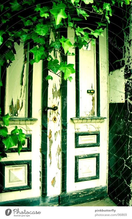 Where do you think this door leads to??? Keyhole Old building Door handle Ruin Dirty White Green Mysterious Exterior shot Derelict Ivy Plant Doorframe Passage