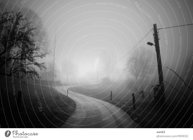 Into the fog Electricity pylon Cable Energy industry Fog Traffic infrastructure Street Curve Pole Threat Dark Concern Grief Pain Longing Fear Dangerous Idyll