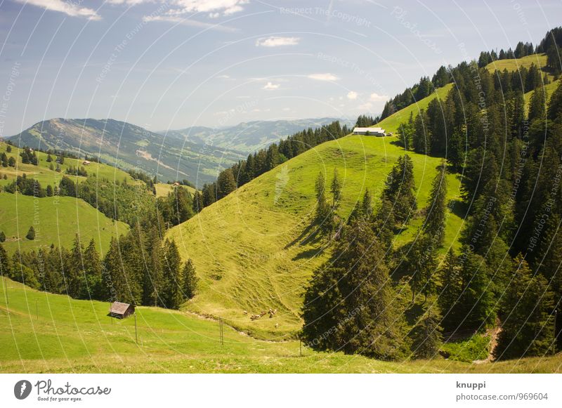 hillside location Environment Nature Landscape Plant Air Sky Clouds Sun Sunlight Summer Beautiful weather Warmth Tree Grass Meadow Field Alps Mountain Peak Free