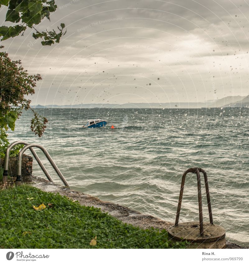 Storm over Lake Garda II Environment Nature Landscape Clouds Summer Climate Weather Bad weather Gale Rain Grass Bushes Lakeside Italy Sport boats Motorboat