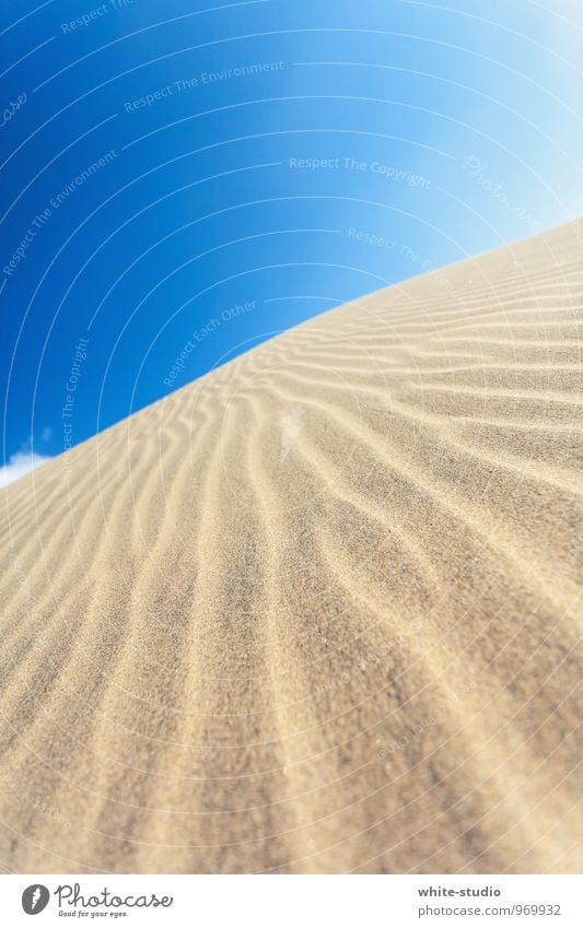 sea of sand Sun Joy Sandy beach Sanddrift Grain of sand Sandbank Dune Beach dune Waves Swell Undulation Wind Whorl Heaven Summer vacation Sunbathing