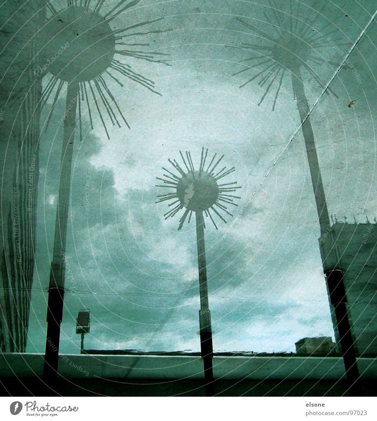 spiked tower2 Dresden Puddle Well Fountain Wet Aluminium Globefish Landmark Art Culture Sphere Water Rod Metal Illusion Crazy Surrealism Water reflection