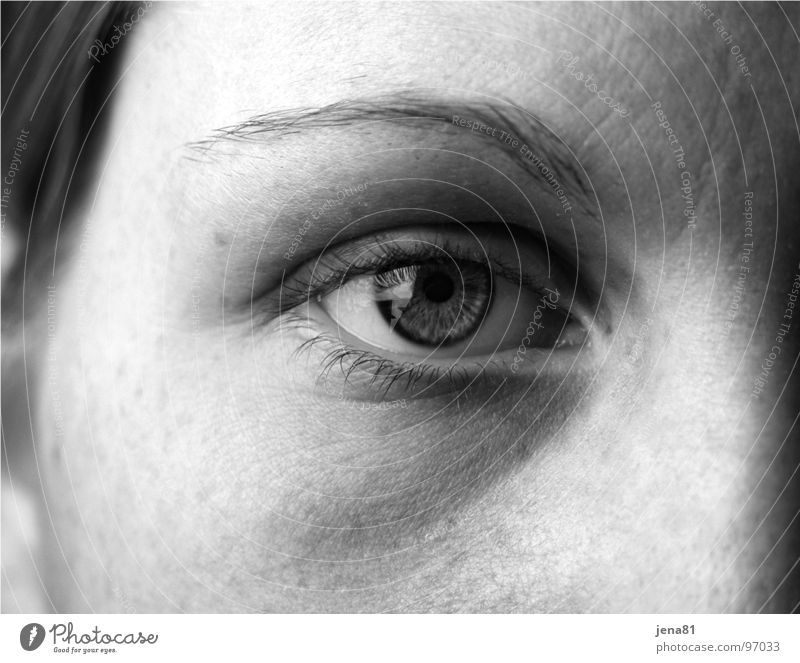eye Truth Senses Visible Black & white photo Human being Emotions Eyes Face Looking