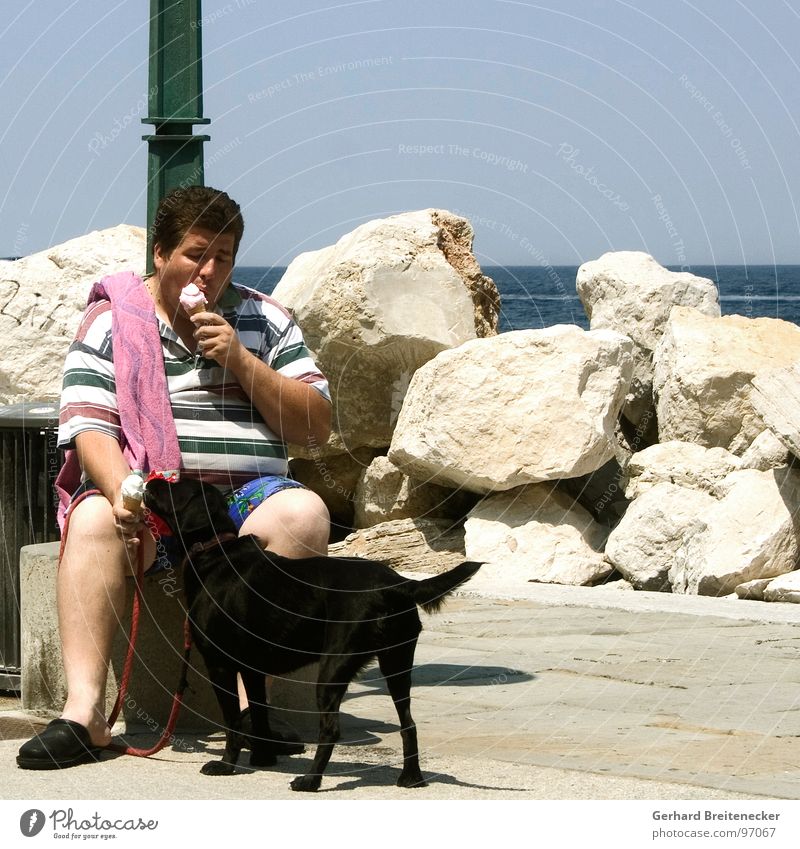 Weightwatcher`s Watchdog Dog Man Physics Lick Ocean Division Cooling Refrigeration Summer Candy Ice Warmth Eating share