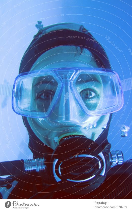 Submerged II Dive Diver Diving goggles Ocean Aquatics Woman Adults 1 Human being 30 - 45 years Breathe Looking Maritime Wet Blue Watchfulness Serene Concentrate