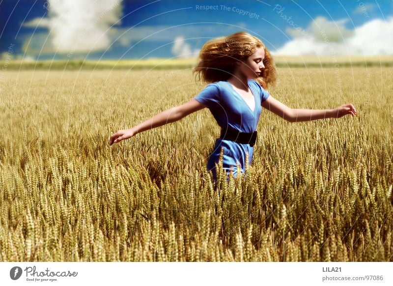 Champ de liberté Field Happiness Summer Yellow Painting and drawing (object) Ecological Joy Blue Grain Sky Nature Running Happy Freedom Weather Arm