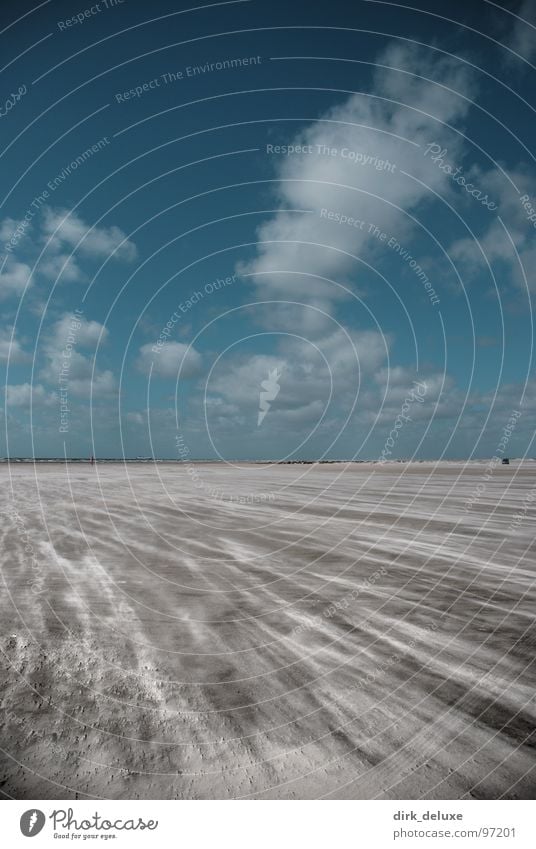 beach denmark Beach Denmark Sky Clouds White Beige Europe blue Sand Wind desaturation