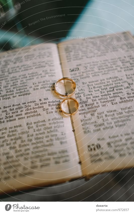 wedding rings Interior shot Colour photo Romance Emotions Passion Love Positive Cute Happiness Wedding Blossoming Feasts & Celebrations Ring Event Freedom