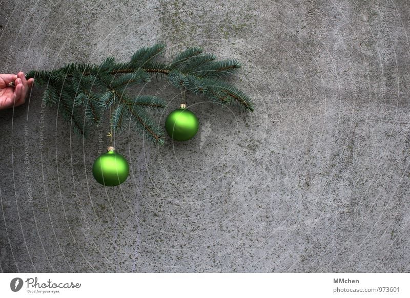 o\ o Decoration Feasts & Celebrations Christmas & Advent Hand Branch Twig Wall (barrier) Wall (building) Concrete To hold on Gray Green Anticipation Love Calm