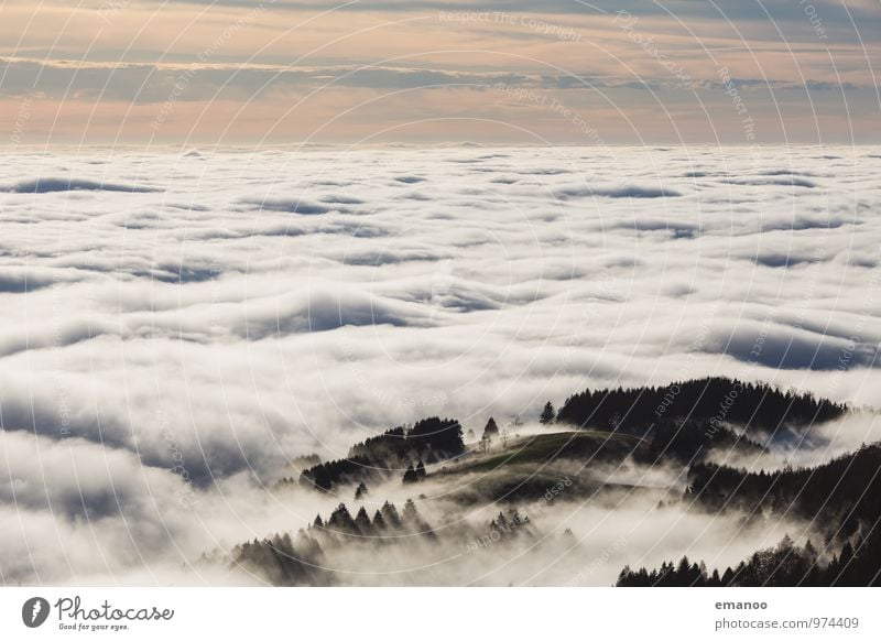 In the sea of fog Vacation & Travel Tourism Trip Far-off places Freedom Mountain Hiking Environment Nature Landscape Air Sky Clouds Horizon Sunlight Autumn