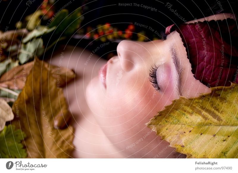 Autumn Girl Leaf Romance Make-up Beauty Photography Model Woman Calm Smooth