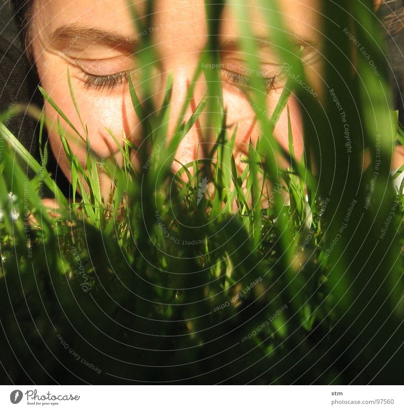Woman lying in the grass Grass Meadow Blade of grass Leaf portrait Self portrait Serene Ease Happiness Playing Joy Face Lawn smile Eyes Nose Wrinkles