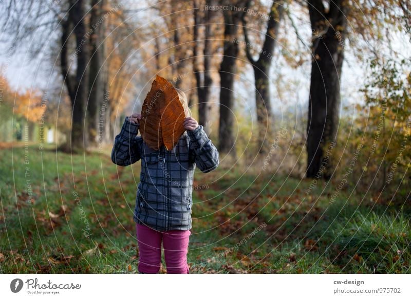 Little girl Girl cuddly toy Nature forest path Infancy trees To go for a walk Exterior shot Relaxation