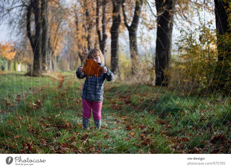 Little girl Girl Nature Autumn Child Infancy Colour photo