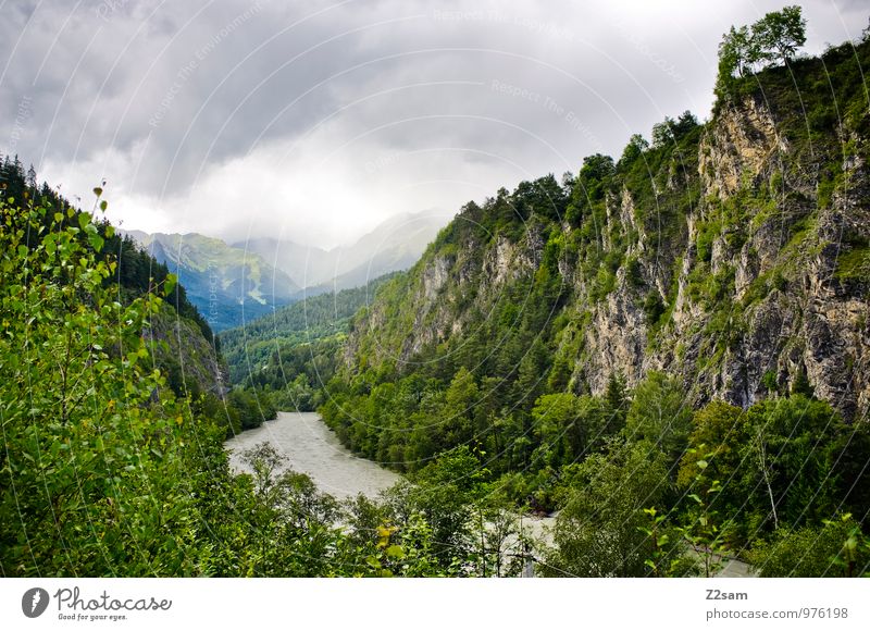 On the way to Lake Garda Nature Landscape Sky Clouds Storm clouds Summer Climate Bad weather Tree Bushes Forest Alps Mountain River Dark Fresh Cold