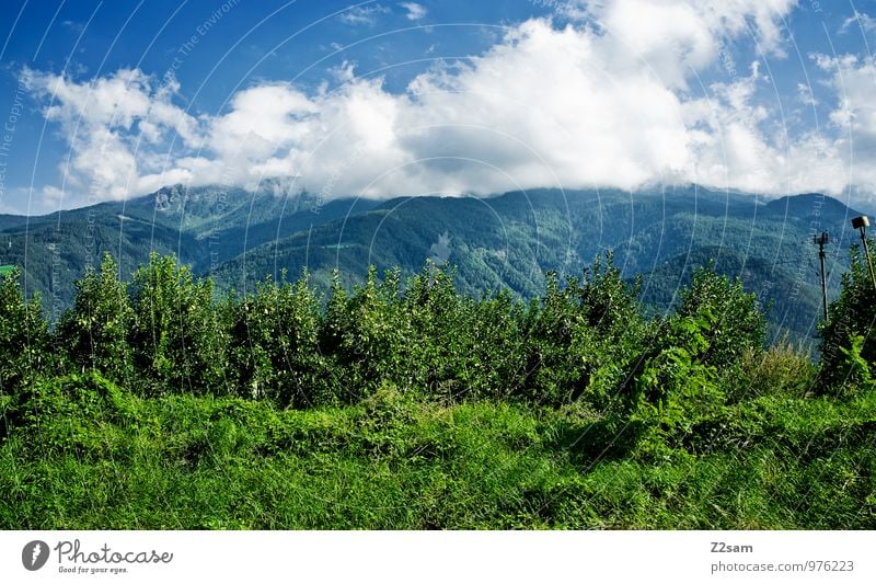 it was nice Environment Nature Landscape Sky Clouds Summer Beautiful weather Bushes Alps Mountain Peak Sustainability Natural Blue Green Colour Idyll Apple