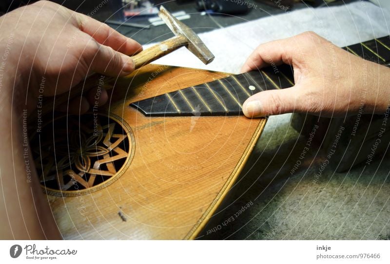 sounds Work and employment Profession Craftsperson Instrument making Workshop Craft (trade) Hammer Adults Life Hand 1 Human being Lute Mandolin Old Creativity