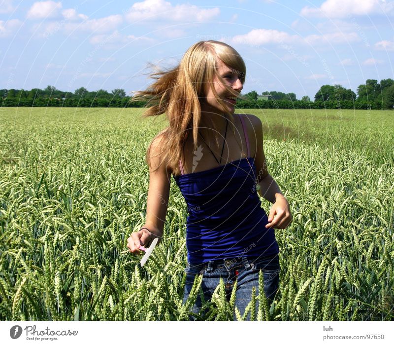 Did I finally get you?! Clouds Sky blue Animal Insect Threaten Where Field Green Wheat Large Multicoloured Rotate Swing Girl Woman Far-off places