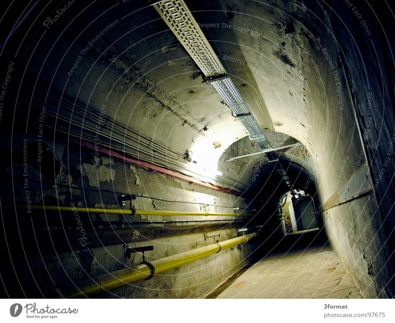 subsoil Tunnel Cellar Subsoil Mysterious Secret passageway Loneliness Creepy Rain Horror film Foreign Provision Shaft Damp Cold Cellar arch Danger of collapse