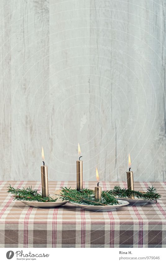 4th Advent Feasts & Celebrations Christmas & Advent Religion and faith Contentment Still Life Candle Candle flame Tablecloth Checkered Fir branch Plate