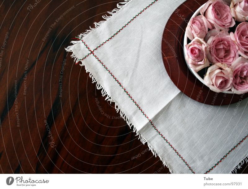 Pink Impressions II Wood Brown Table Rose Green White Red Blossom Airy Easy Heap Stripe Flower Still Life Composing Dark Comforting Heavy Wood flour Sympathy