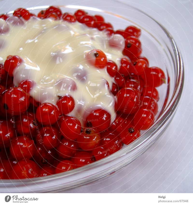 Glass bowl with red currants and vanilla sauce Vanilla sauce Delicious Red Bright yellow Dessert Fruity Healthy To enjoy Small Multiple Bowl Sauce
