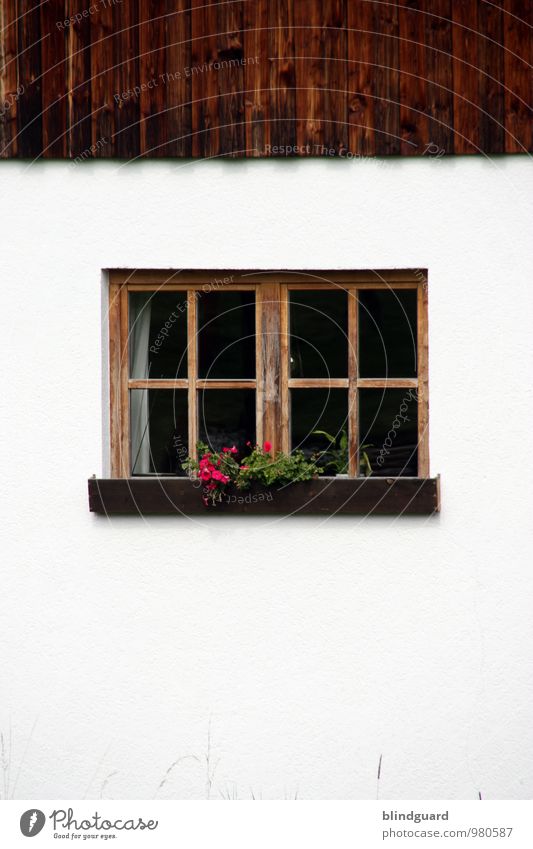 Steamy Windows Tourism Mountain House (Residential Structure) Decoration Pot plant Detached house Building Wall (barrier) Wall (building) Stone Wood Glass