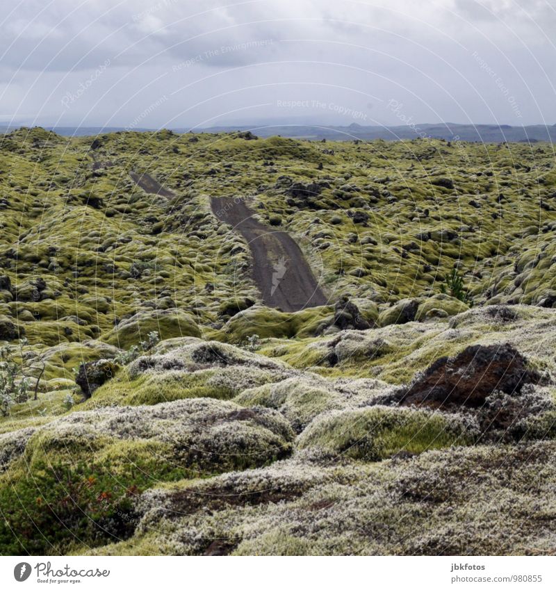 ICELAND / Land of Trolls & Elves Environment Nature Landscape Plant Sky Climate Climate change Moss Carpet of moss Lichen Hill Rock Esthetic Authentic Beautiful