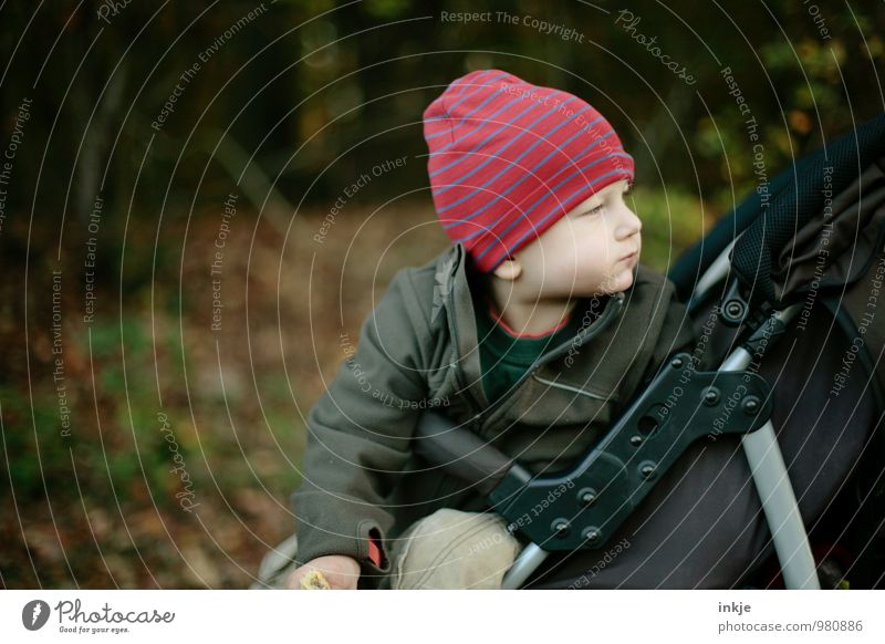 drive Lifestyle Leisure and hobbies Trip To go for a walk Child Toddler Boy (child) Infancy Upper body 1 Human being 1 - 3 years Nature Autumn Winter Park