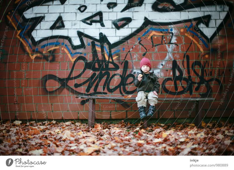 how we are and how we will be Lifestyle Style Toddler Boy (child) Infancy Body 1 Human being 1 - 3 years Autumn Leaf Outskirts Wall (barrier) Wall (building)