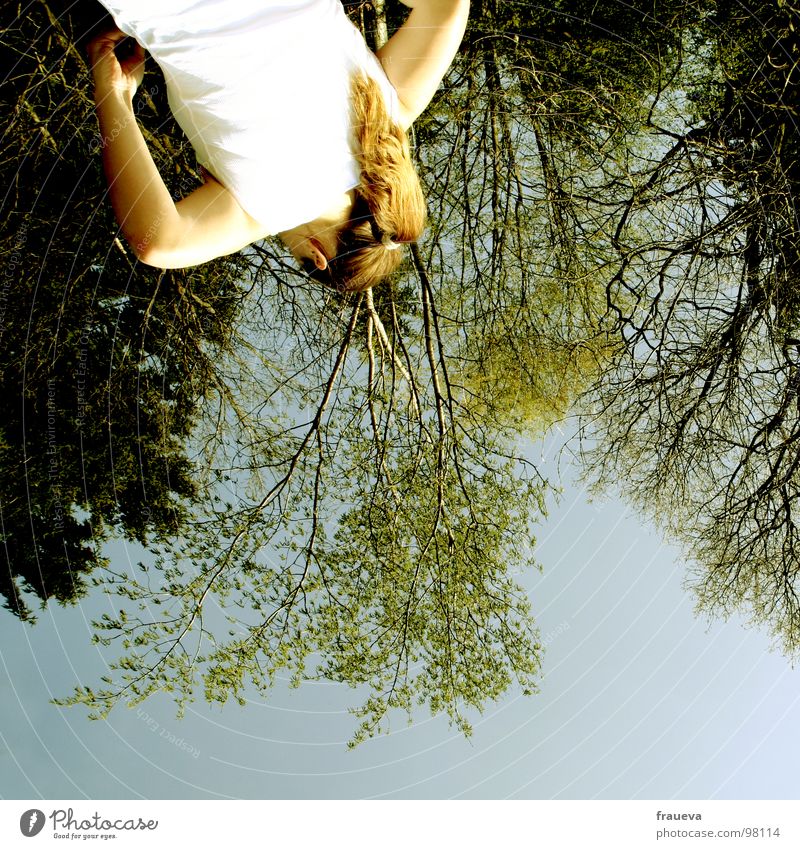 inverted world Forest Tree Wood flour Woman Feminine Worm's-eye view Opposite Inverted Green Contentment T-shirt Colour Summer Rotate world view Blue Sky Nature