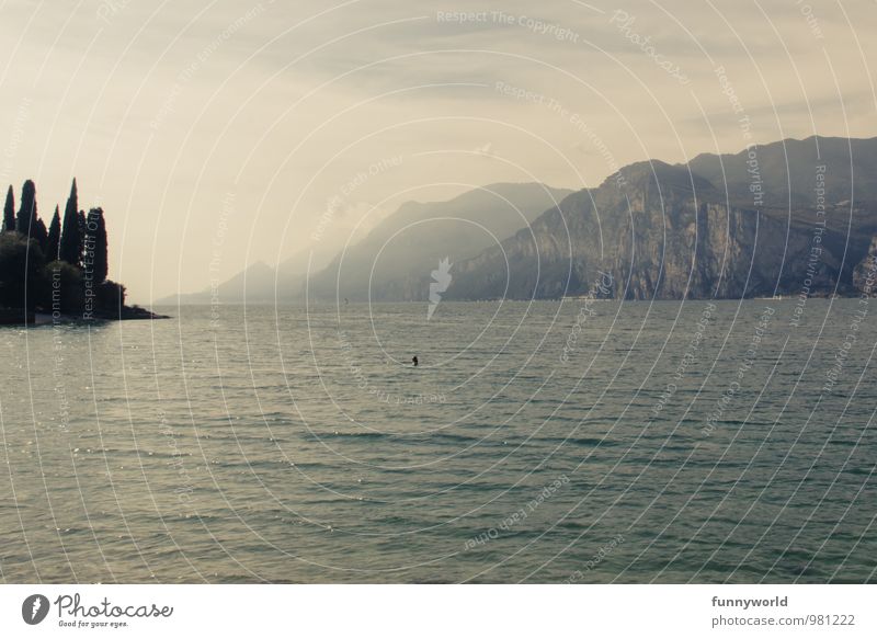 Lonely little swimmer! Vacation & Travel Trip Freedom Summer Summer vacation 1 Human being Water Sky Alps Mountain Swimming & Bathing Lake Lake Garda Italy