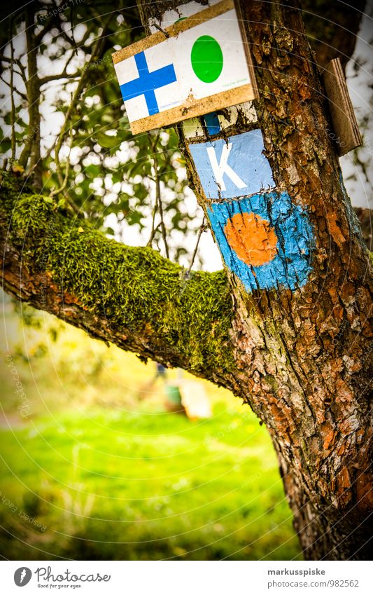hiking signpost Life Leisure and hobbies Vacation & Travel Tourism Trip Adventure Freedom Expedition Hiking Environment Landscape Summer Tree Grass Meadow Field