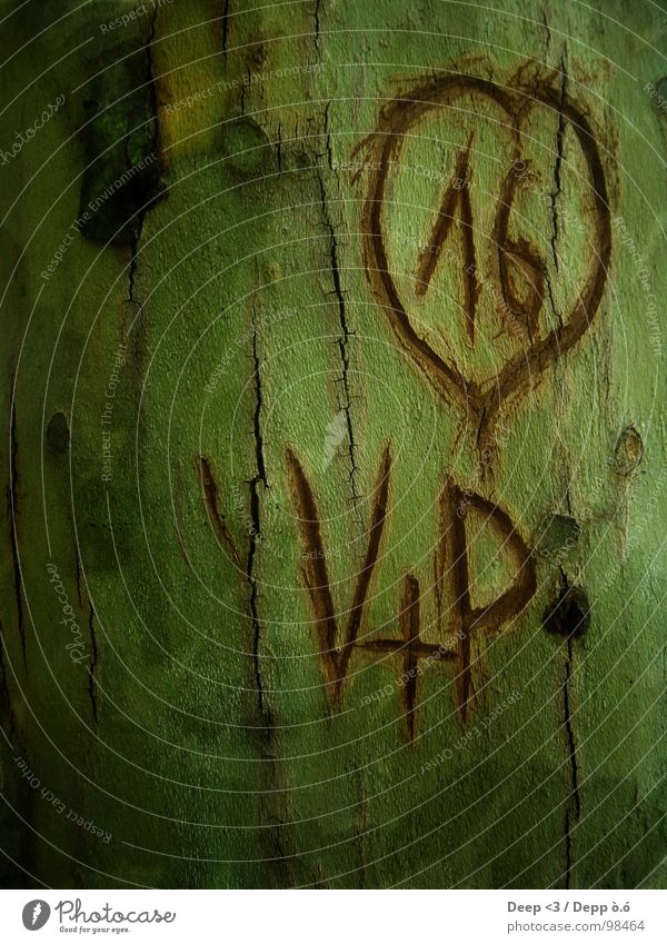 V+P = <3 Tree Green Brown Graven Tree bark Together Furrow Black Love Old Heart scratched