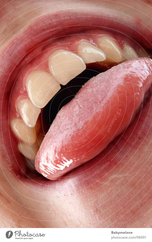 Around the mouth Lips Tongue Pink Macro (Extreme close-up) Close-up Mouth stretch out around the mouth Brash open-mouthed Open Detail Teeth