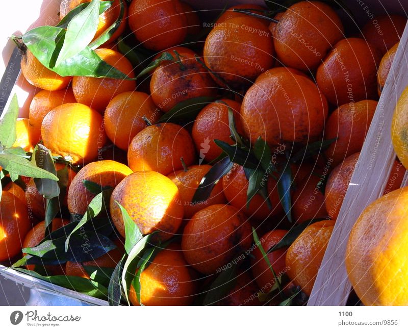 orange Orange Light Healthy Shadow Fruit
