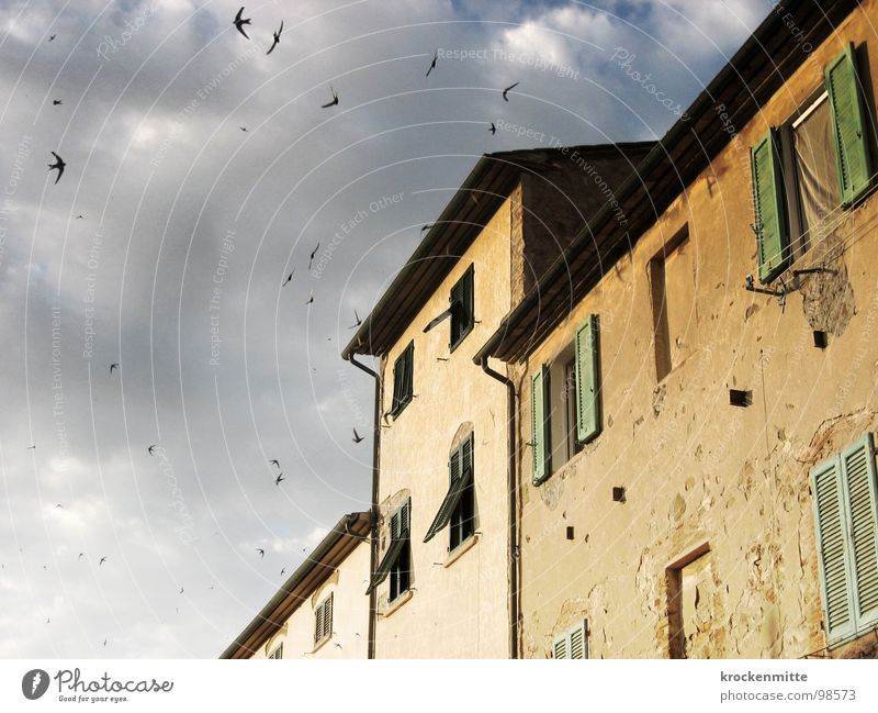 A house in Tuscany Clouds Bird House (Residential Structure) Building Italy Vacation & Travel Window Shutter Bad weather Passion Facade Gale Green Sky Suvereto