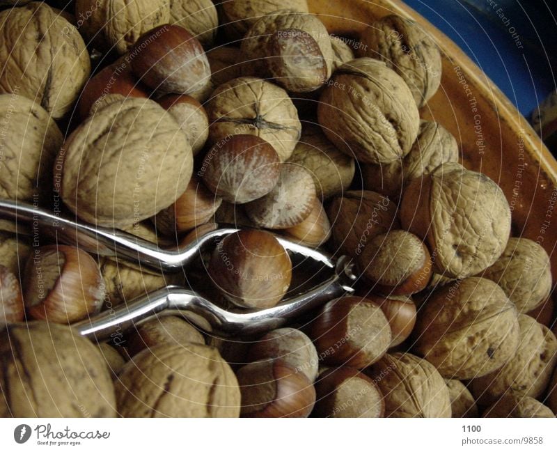 nuts+crackers Nut Nutcrackers Healthy