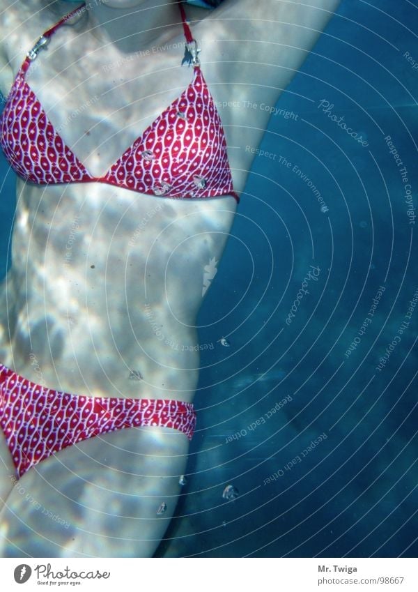 bikini Dive Woman Bikini Weightlessness Red White Air bubble Water Summer Underwater photo Blue Swimming & Bathing