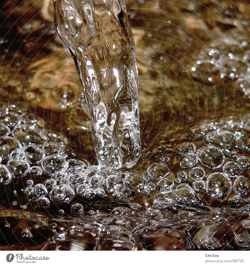 Source of refreshment Air bubble Clarity Cold Wet Flow Bubbling Damp Northern Forest Macro (Extreme close-up) Close-up River Brook Water Blow Thirst near