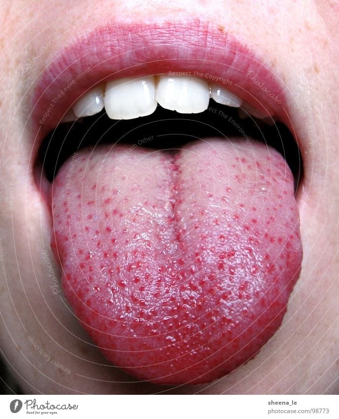 tongue Joy Mouth Lips Teeth Brash Funny Pink Red Tongue youthful Stick out Bah Face Skin Close-up Macro (Extreme close-up)