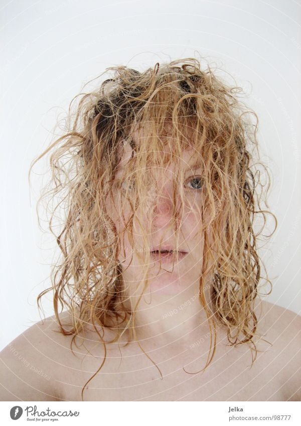 freshly showered Style Hair and hairstyles Face Human being Woman Adults Blonde Curl Comb Fresh Wild Curly faces curls crinkles Hairdressing Wash washing fuzzy