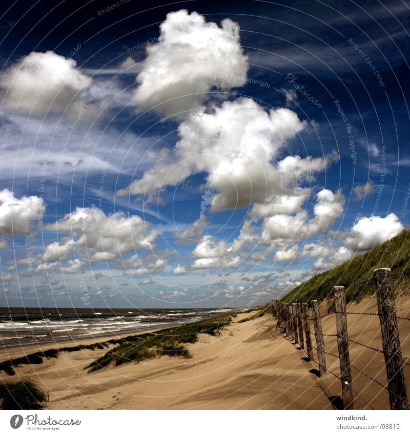 we are nowhere and it is now Ocean Cold Beach Clouds White Gray Fence Breeze Lake Sun Physics Summer Fresh Sky Blue Wind Sand Beach dune Weather Wild animal