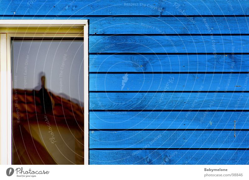 my neighbour House (Residential Structure) Window Reflection Wooden house Wall (building) Wood strip Neighbor Symmetry Wooden wall Low-energy house   blue house