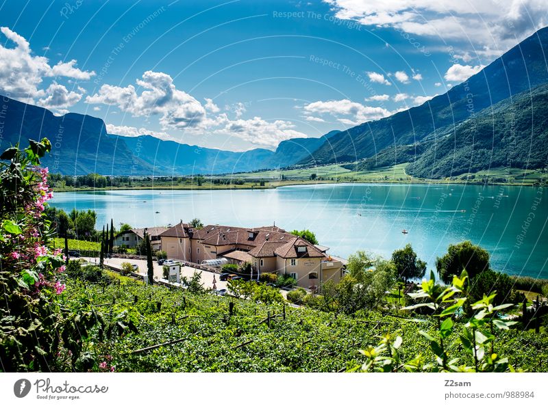 Lake Kaltern Environment Nature Landscape Sky Clouds Sun Summer Beautiful weather Bushes Alps Mountain Lakeside Village Sustainability Natural Blue Green